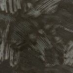 Piring Titanium Stainless Steel dengan Pola Sikat Hitam Timbul